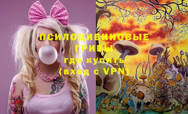 эйфоретик Балахна